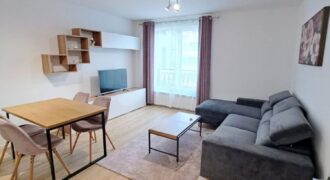 Двустаен апартамент под наем в кв. Дървеница